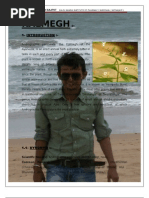Download KALMEGANDOGRAPHIS PANICULATA by shailuthakur786 SN66197007 doc pdf
