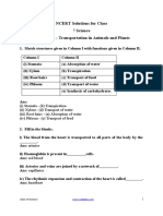 NCERT Chapter - 11 - Transportation - in - Animals - and - Plants