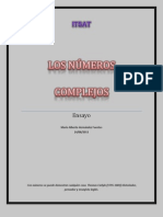 Ensayo de Los Numeros Complejos