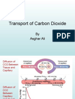 Carbondioxide Transport