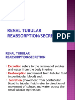 Renal Tubular Transport