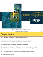 Electron Transport and Oxidative Phosphorylation: Paul D. Adams - University of Arkansas