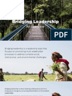 Bridging Leadership Overview