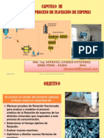 Capitulo III. CINÉTICA DEL PROCESO DE FLOTACION DE MINERALES