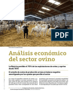 Analisis Economico Del Sector Ovino