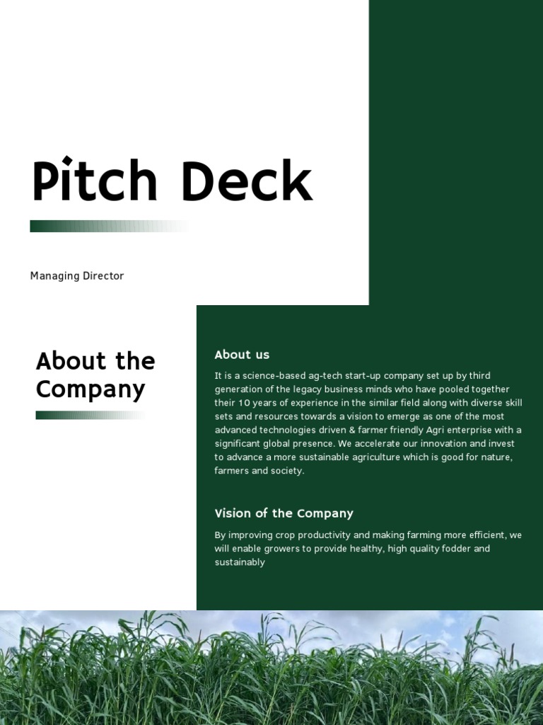 Seed Processing Flow Chart | PDF