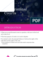 Criminal Courts - Chapter 7