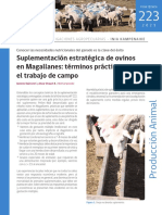 Suplementación Estratégica de Ovinos en Magallanes Términos Prácticos para El Trabajo de Campo