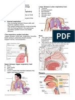 Airway Management Lec 1