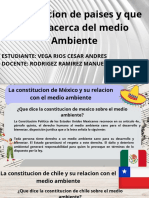 constitucion de paises y el medio ambiente