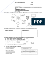 Evaluacion de Ciencias Naturales Luz, Sonido y Materia. 5to 2023