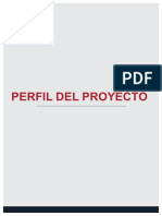 Guía Perfil de Proyecto 202315