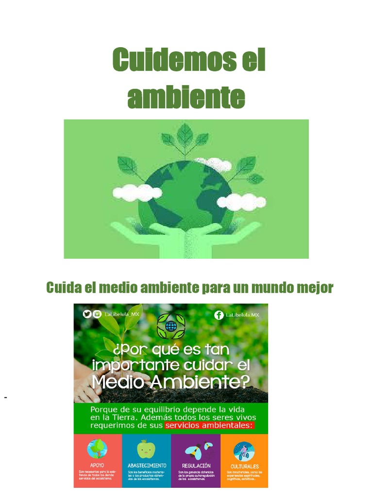 Cuidemos el Medio Ambiente | PDF | Ciencia y matemáticas