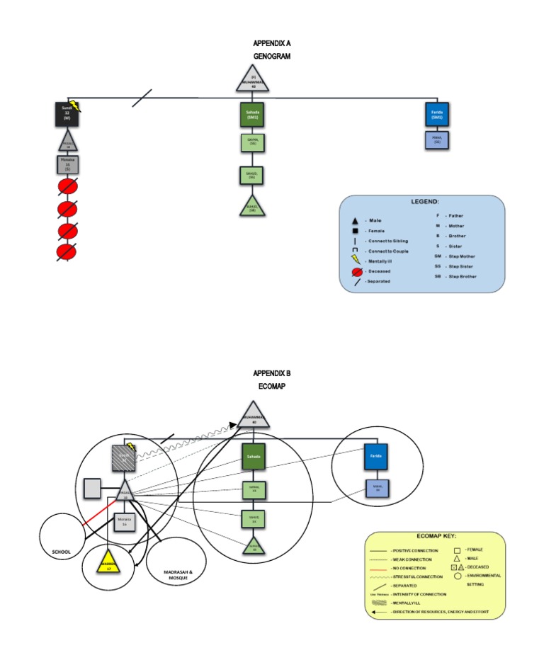 Genogram and Ecomap PDF