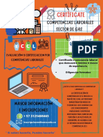 Poster Competencias Laborales PDF