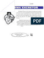 Sistema-Excretor 6 2022