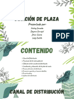 Decición de Plaza Gaes 5