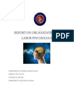 Report On Labor Psychology