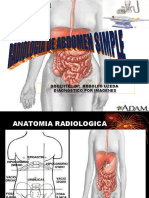 Abdomen Simple 2023