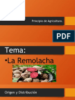 Principio de Agricultura