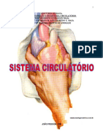 Roteiro de Prática Do Sistema Circulatório