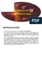 Módulo Reproduccion y Dearrollo