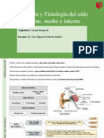 Anatomía Del Oido Externo, Medio e Interno. Kevin Labán Arteaga b2p5
