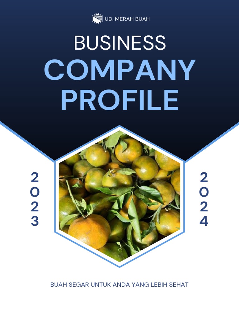 Blue White Black Modern Geometric Business Company Profile Booklet | PDF
