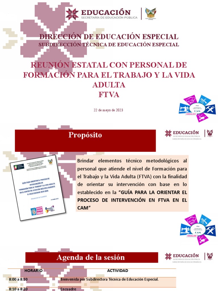Ftva Julio 23 | PDF | Educación especial | Planificación