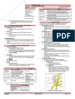 Gross HSB A (MCHMARI) - Posterior Abdominal Wall (Bea, M.D.)