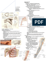 Gross HSB A - Axillary Region