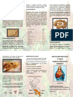 PDF Triptico La Caihua - Compress