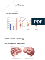 Lecture 6 Thinking and Intelligence