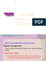 Sistem Reproduksi Manusia Kelas 9 Kurikulum 2013