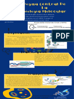 Infografía El Dogma