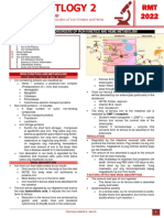 HEMA 2 - Midterm Topic 2 - Iron Metabolism Disorders