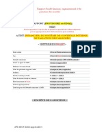 Annexe XI.4 Modele Rapport Audit (2)