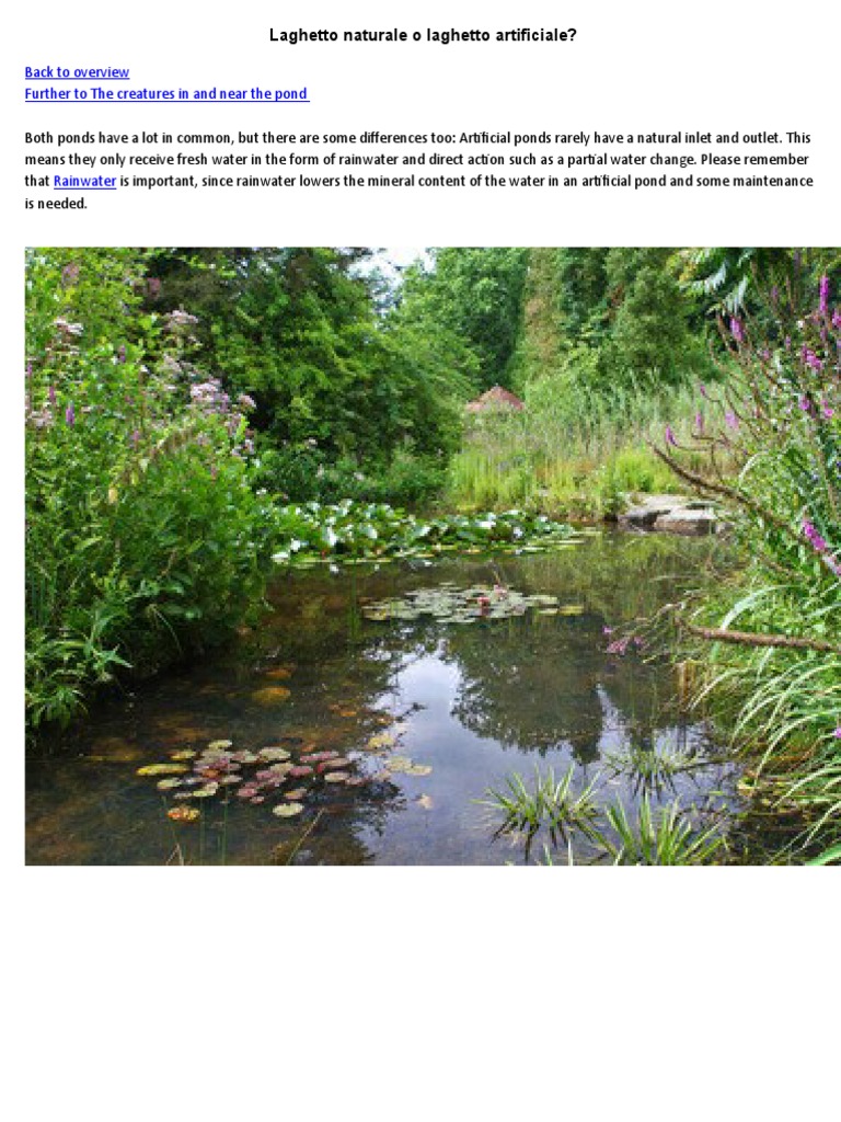 Types of Ponds: Natural vs. Artificial | PDF