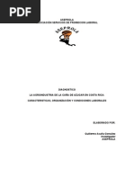 Download diagnostico caa de azucar by Memo Acua SN66213326 doc pdf