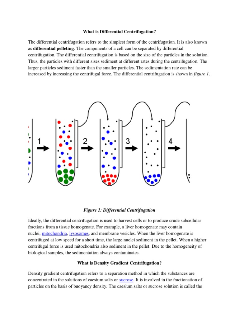 Centrifugation PDF Centrifugation Chemistry