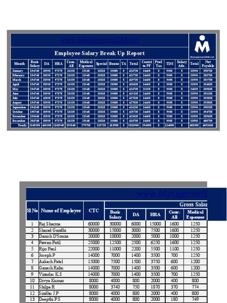 Employee Salary Breakdown 2023 | PDF