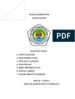 Makalahbiologi Evolusi