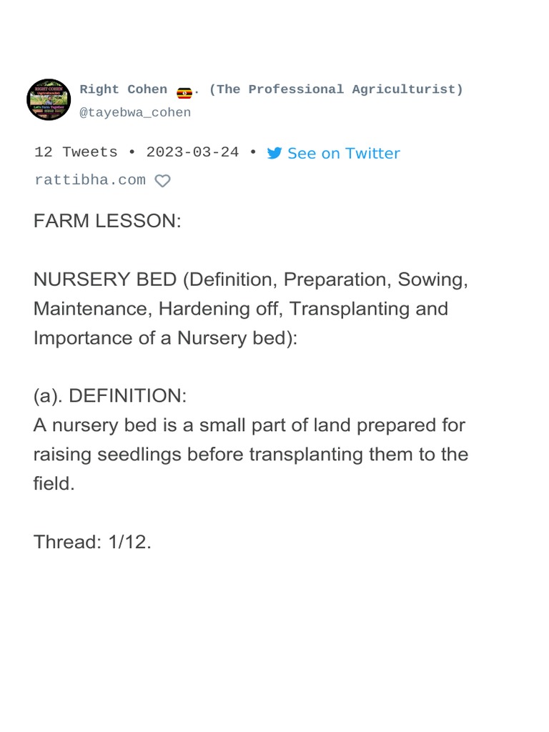 Farm Lesson Nursery Bed (Definition, Thread by Tayebwa
