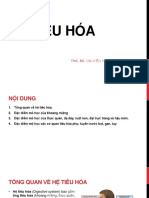 Hệ tiêu hóa