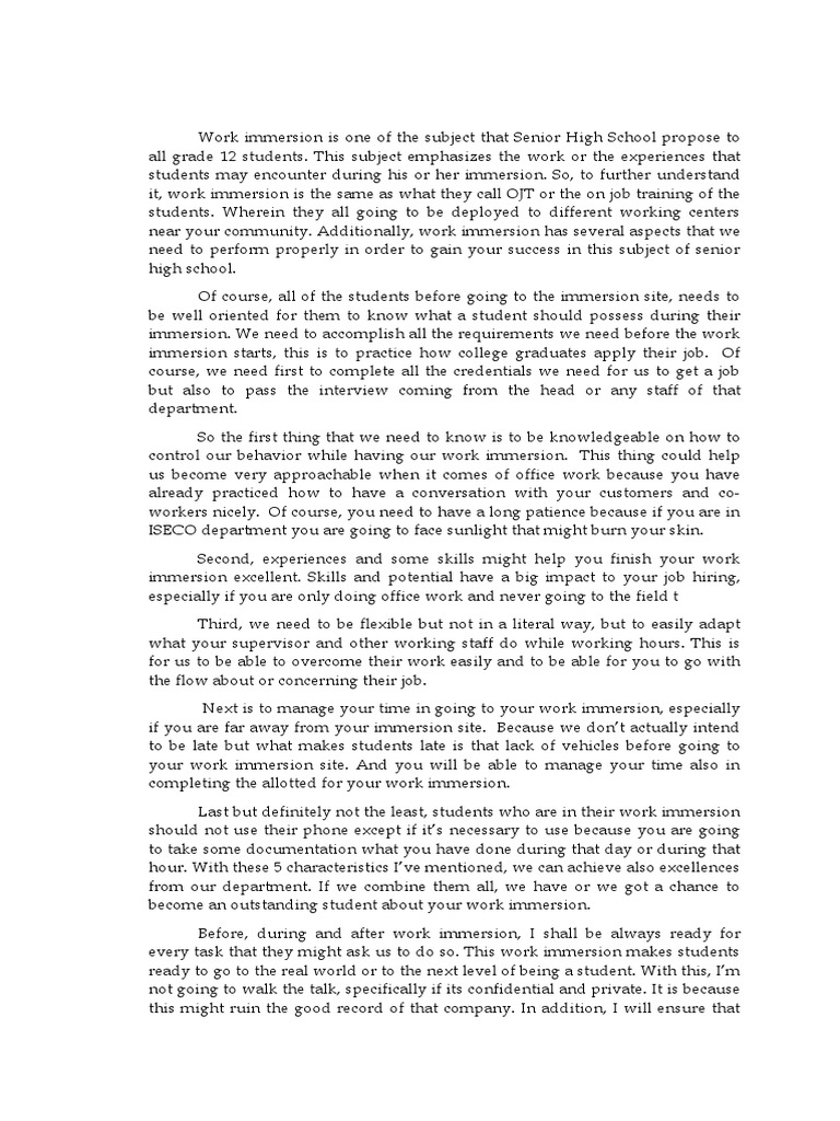 Work Immersion Essay PDF