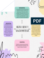 Micro, Meso y Macrosistema