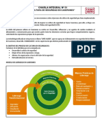 Charla Integral Nº31 Cultura de Seguridad en Caserones