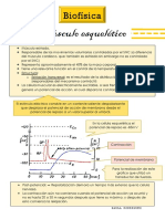 Apuntes Biofisica (Musculo Esqueletico)