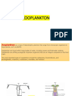 Practical ... ZOOPLANKTON-Comparison