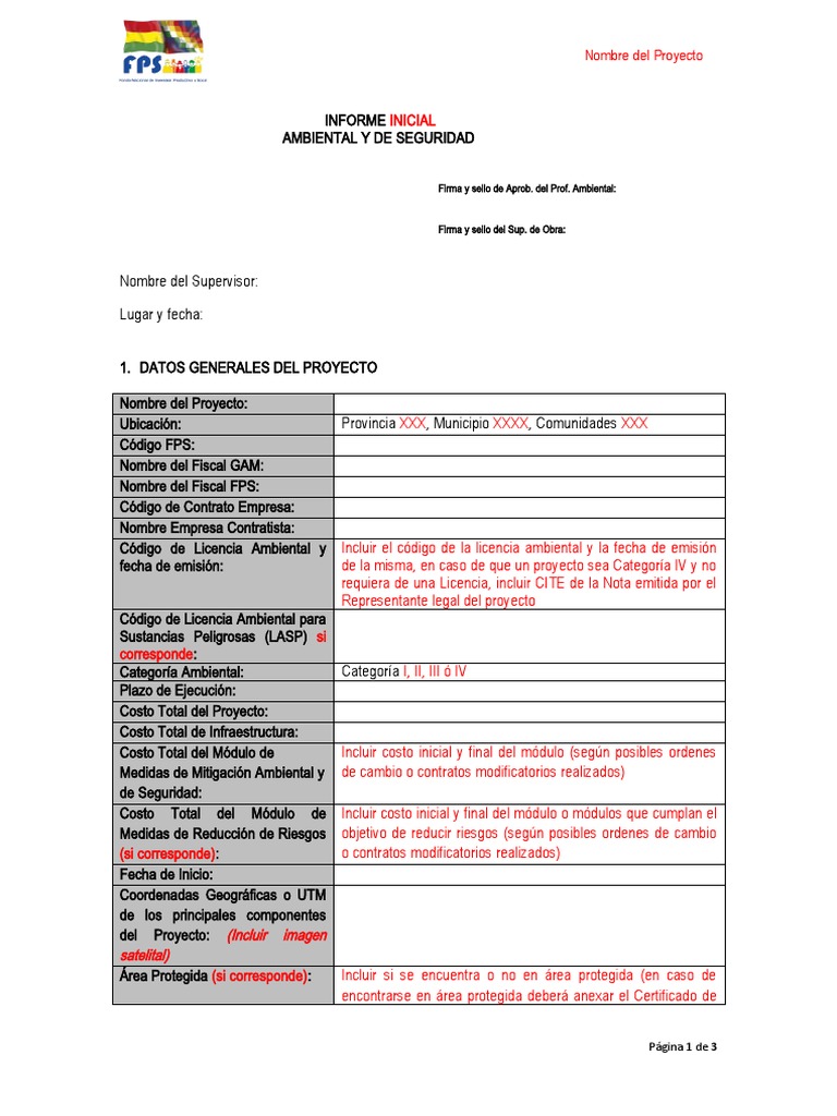 Modelo de Informe Inicial | PDF